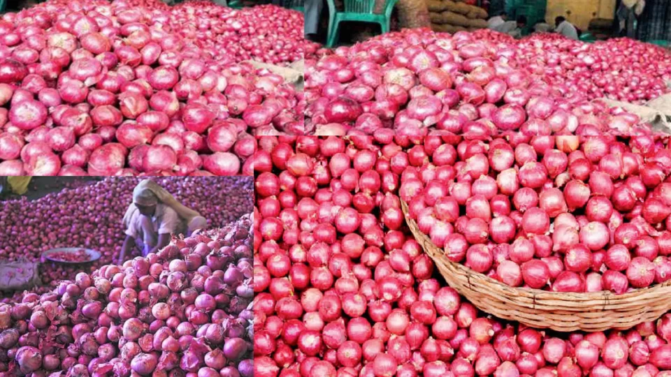 Onion price has decreased