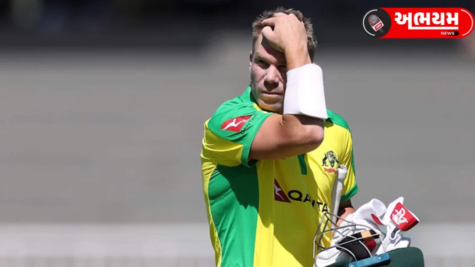 David Warner apologized to the people of India after the final