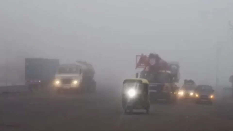 Bharuch: Dense fog covered early morning