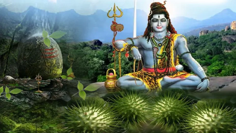 Why is Dhaturo offered to Mahadev?