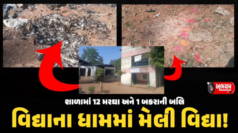 12 chickens and 1 goat were slaughtered in a school in Valsad