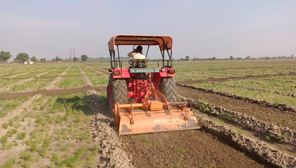 With the plan of all, the rotovator was turned over the cumin crop while water was stopped to the farmers