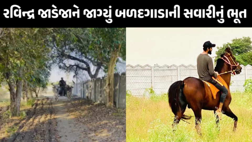 Horse riding enthusiast 'Bapu' Ravindra Jadeja enjoys bullock cart ride